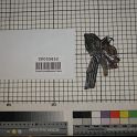 TF005852-2