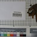 TF005855-2