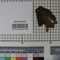 TF005857-2