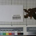 TF005859-2