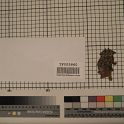 TF005860-2