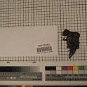 TF005862-2