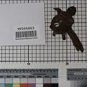 TF005863-2