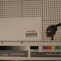 TF005864-2