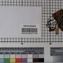 TF005865-2