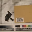 TF005866-2