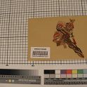 TF005868-1 Asien China,Figur,Leder,Fritz Fey,2010