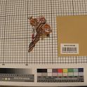 TF005868-2