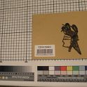 TF005880-1 Asien China,Figur,Leder,Fritz Fey,2010