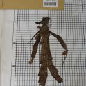 TF005900-1 Asien China,Figur,Leder,Fritz Fey,2010