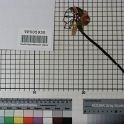 TF005930-3