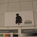TF005931-1 Asien China,Figur,Leder,Fritz Fey,2010