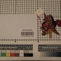 TF005935-3