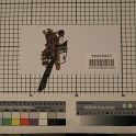 TF005937-3