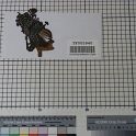 TF005940-3