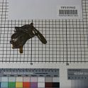 TF005942-3