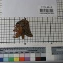 TF005946-3