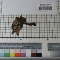 TF005948-3