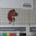 TF005956-3