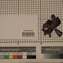 TF005959-3
