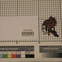 TF005963-3