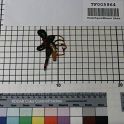 TF005964-3