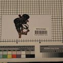 TF005965-1 Asien China,Figur,Leder,Fritz Fey,2010