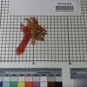 TF005966-3