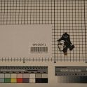 TF005971-3