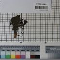 TF005984-3