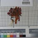 TF005986-3