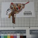 TF005988-1 Asien China,Figur,Leder,Fritz Fey,2010