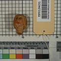 TF019431-1 Europa Deutschland,Figur,Holz,Fritz Fey,2010