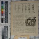 TF020849-1 Europa,Blatt,Papier,Fritz Fey,2011