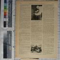 TF020891-1 Europa Deutschland München,Blatt,Papier,Fritz Fey,1926