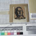 TF020956-1 Europa,Blatt,Papier,Fritz Fey,2011
