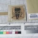 TF020957-1 Europa,Blatt,Papier,Fritz Fey,2011