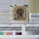 TF020964-1 Europa,Blatt,Papier,Fritz Fey,2011
