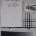 TF021956-2
