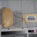 TF026125-5