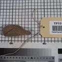 TF026144-2