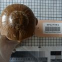 TF027994-5